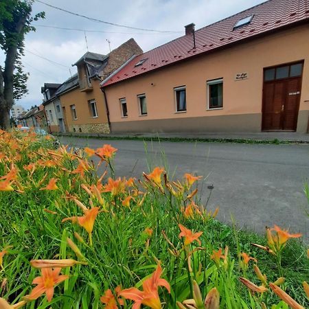 Kis Rigó vendégház Salgótarján Esterno foto
