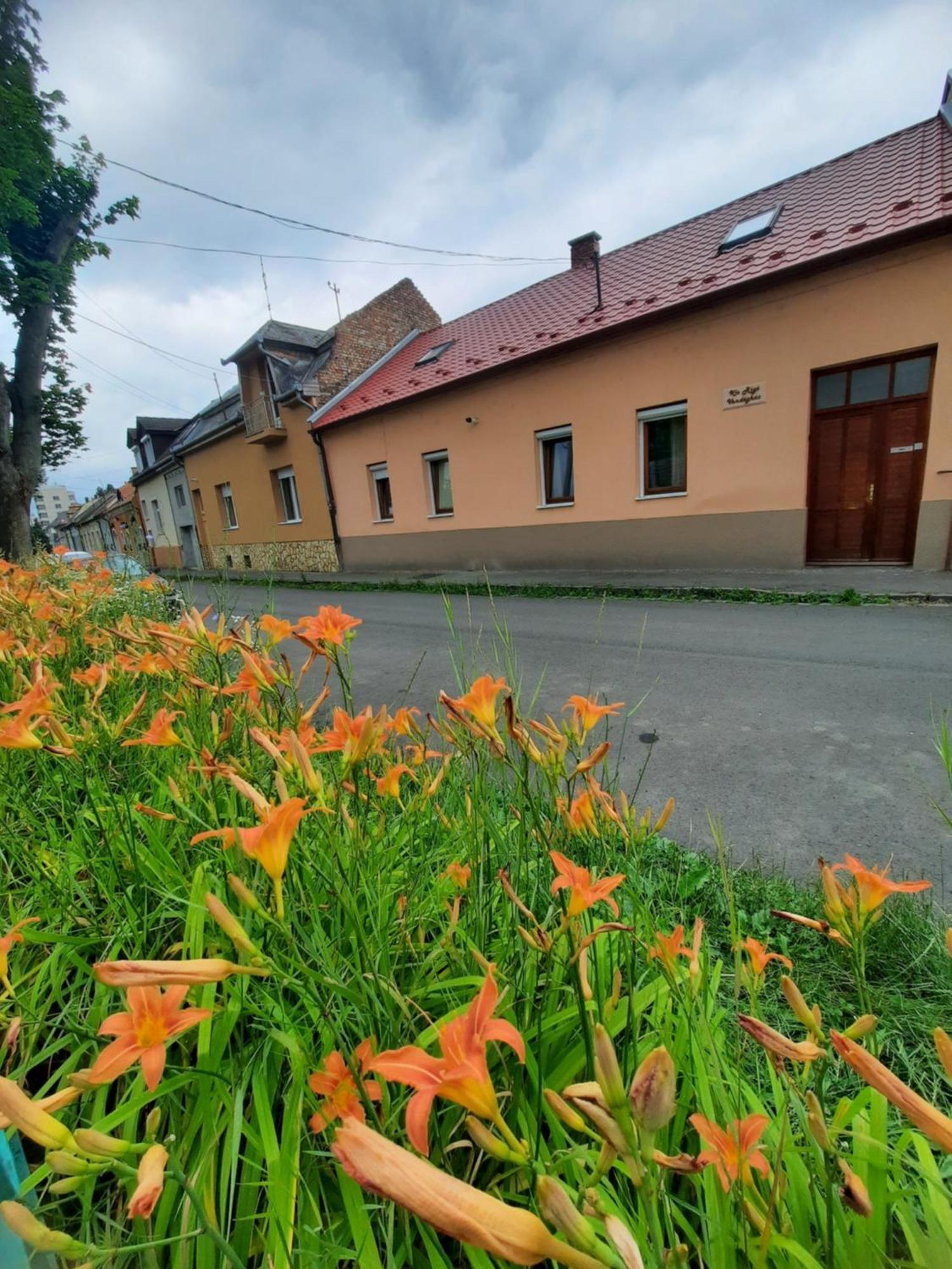 Kis Rigó vendégház Salgótarján Esterno foto